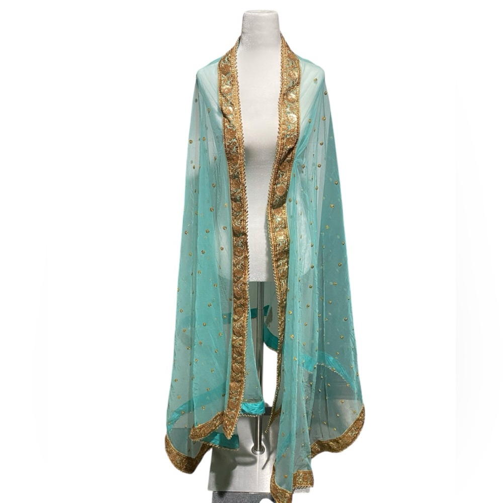 Elegant Gold-Trimmed Sheer Indian Shawl Dupatta Zari Seafoam Green